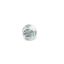 Picture of Whirlpool Screw Part# WP3400892