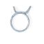 Picture of Whirlpool Clamp Part# WP356138