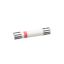 Picture of Whirlpool Fuse Part# WPM0805102