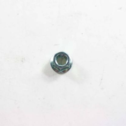 Picture of Whirlpool Nut Part# WPW10080190
