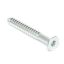 Picture of Whirlpool Screw Part# WPW10133608