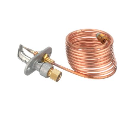 Picture of Whirlpool Pilot Asm Part# WPW10206112