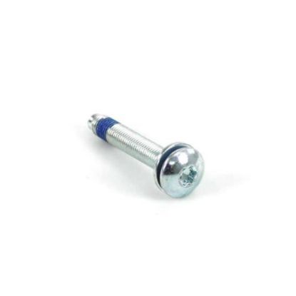 Picture of Whirlpool Screw Part# WPW10253476