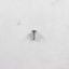 Picture of Whirlpool Screw Part# WPW10308489
