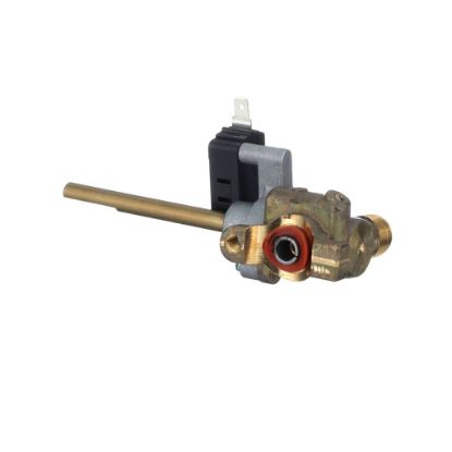 Picture of Whirlpool Burner Valve Part# WPW10385582