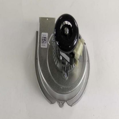 Picture of Whirlpool Holder-orf Part# WPW10571492