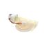 Picture of Whirlpool Ice Door Assembly Part# WPW10606117