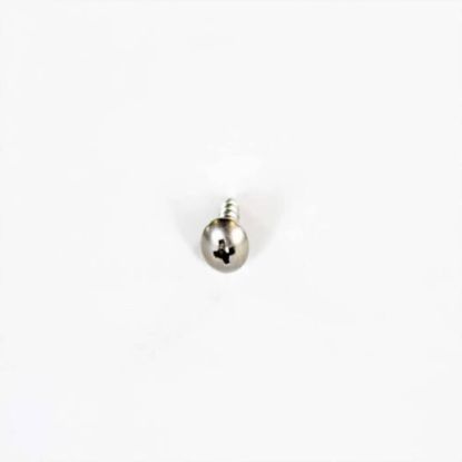 Picture of LG Customized Screw Part# 1SZZEL2001A
