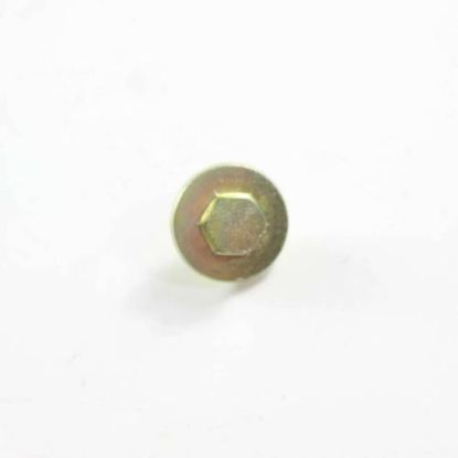 Picture of LG Customized Screw Part# 1SZZEL3001A