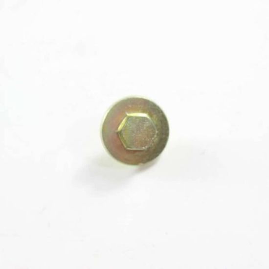 Picture of LG Customized Screw Part# 1SZZEL3001A