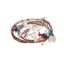 Picture of LG Harness,single Part# EAD65616802