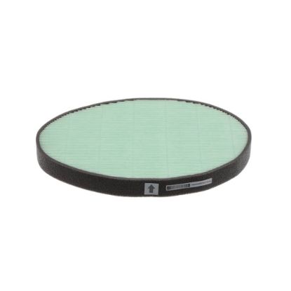 Picture of LG Air Filter Part# MDJ64424304