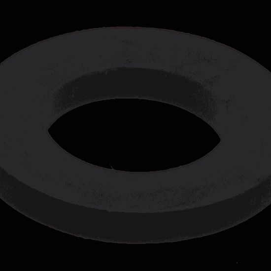 Picture of Speed Queen Washer Hose Part# 20290