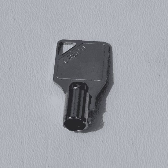 Picture of Speed Queen Key,gr 800 Part# 54612