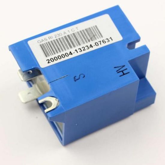 Picture of Fisher / Paykel Module Reignition Single Point Part# 221165