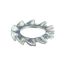 Picture of Blomberg Serrated Lock Washer (A4.3 Din 6798) Part# 130500120