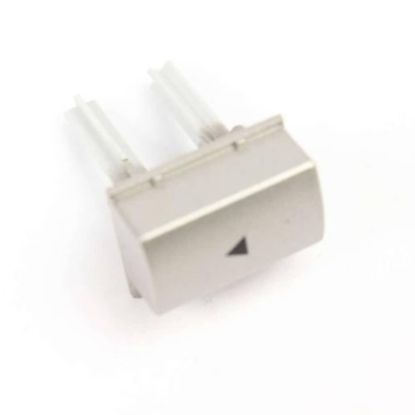 Picture of Blomberg Program Select Button Part# 1747471300