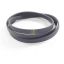 Picture of Blomberg Elastic Poly-v Belt Part# 2005170400