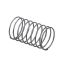 Picture of Blomberg Spring Part# 242600005