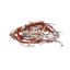 Picture of Blomberg Cable Group Part# 260605022