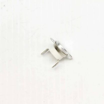 Picture of Blomberg Cooling Motor Bi Metal Thermos Part# 263410038