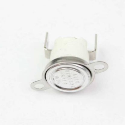 Picture of Blomberg Body Thermostat Part# 263900059
