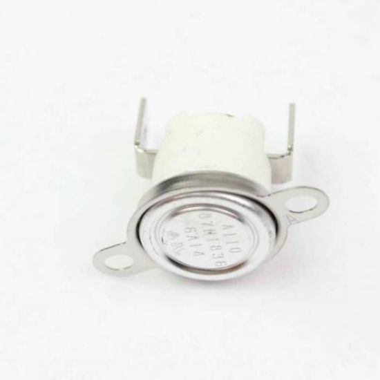 Picture of Blomberg Body Thermostat Part# 263900059