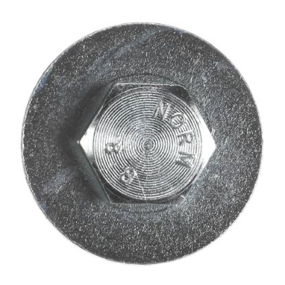 Picture of Blomberg Pulley Fixing Screw Part# 2829960500