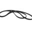 Picture of Blomberg Elastic Poly-v Belt Part# 2962470300