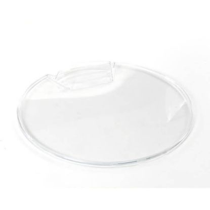 Picture of Blomberg Protective Door Part# 2969760100