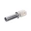 Picture of Blomberg Door Ntc Part# 2971900200