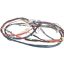 Picture of Blomberg Main Cable Assembly (Black_box_orion) Part# 2976632200