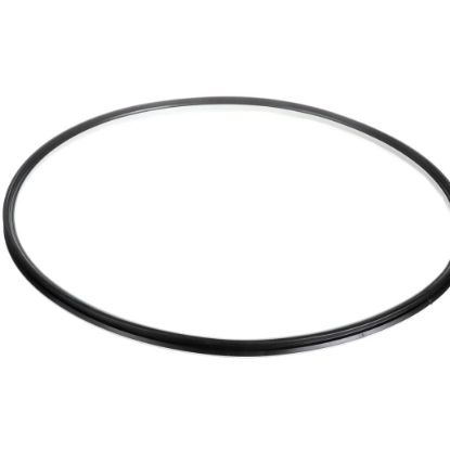 Picture of Blomberg Door Gasket Part# 2986220200