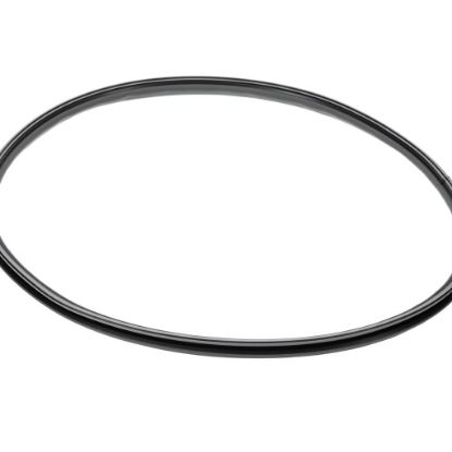 Picture of Blomberg Door Gasket Part# 2986220300