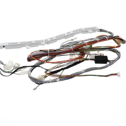 Picture of Blomberg Main Cable Assembly (Apollo) Part# 2988851700