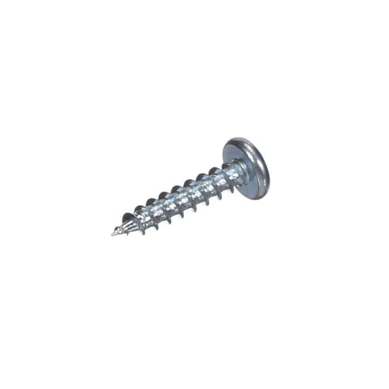 Picture of Blomberg Pt Screw Torx Plus 20 Ip (4_19) Part# 4205671100