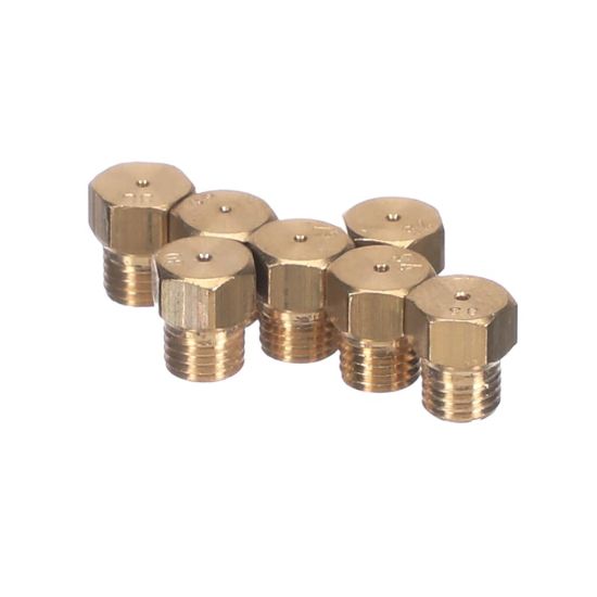 Picture of Blomberg G30-30 Injector Gr ( Lpg ). Part# 4431600030