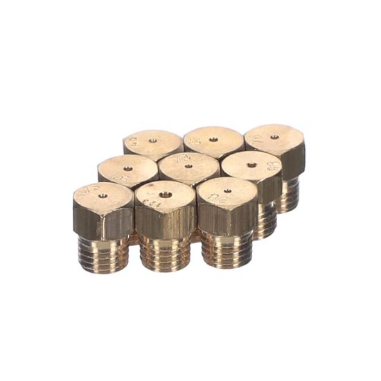 Picture of Blomberg G30-30 Injector Gr ( Lpg ). Part# 4431600044