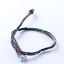 Picture of Blomberg Door Harness Assembly(g84605ne) Part# 5908010100