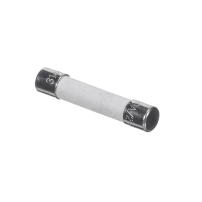 Picture of Blomberg 20A Fuse Part# SH1017