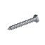 Picture of Blomberg Lag Screws Part# SH2089