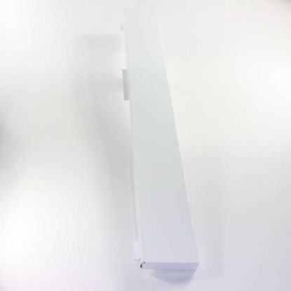 Picture of Bertazzoni Flap Door White Part# 125194