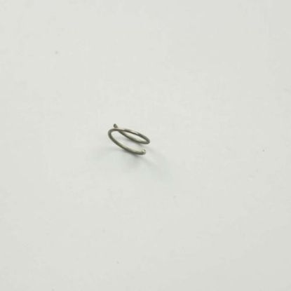 Picture of Bertazzoni Spring For Spark Plug Dual Part# 306030