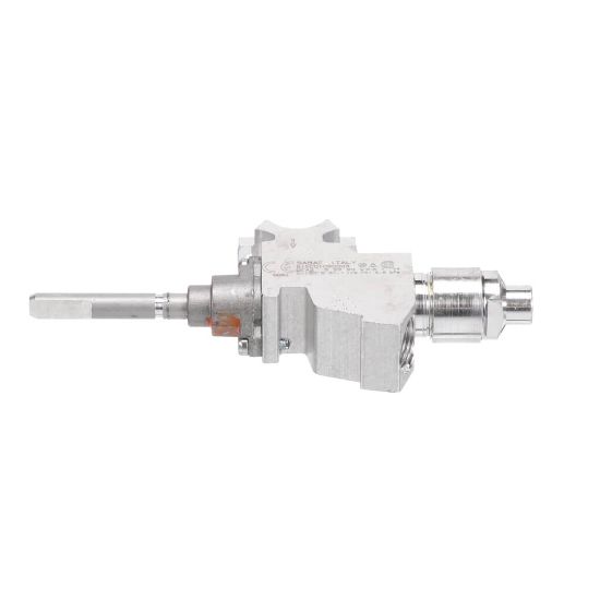 Picture of Bertazzoni Rub.valv.s3d1 Bp047 R S3-8150010900 Part# 502271