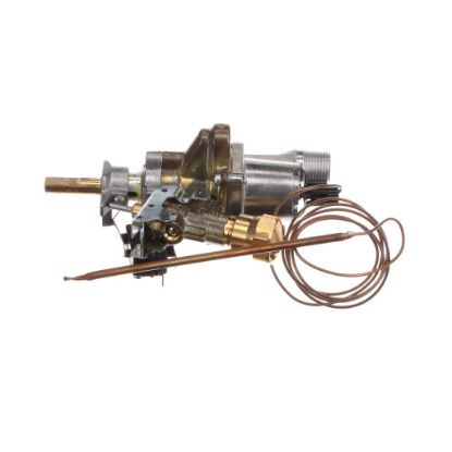 Picture of Bertazzoni Oven Thermostat Part# 503110