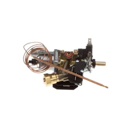 Picture of Bertazzoni Thermostat Part# 503128