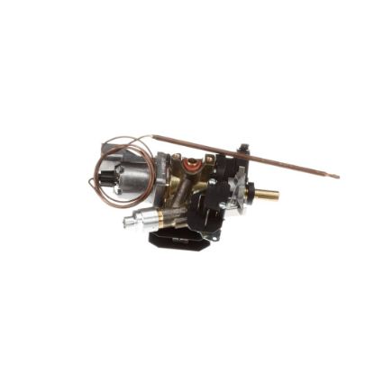 Picture of Bertazzoni Thermostat Part# 503182