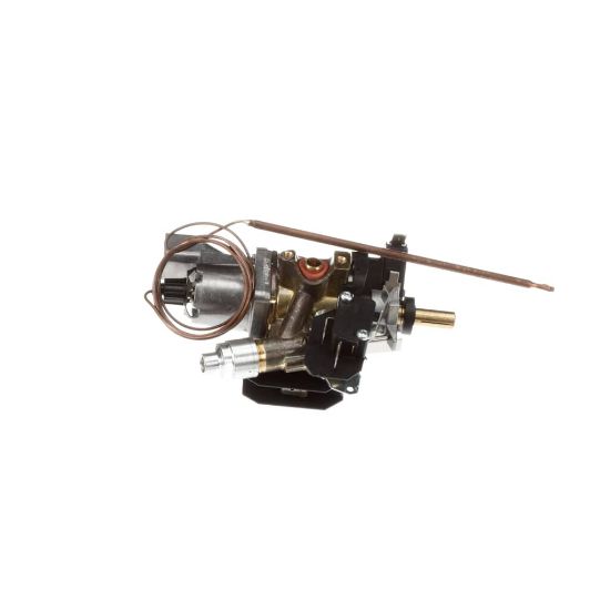 Picture of Bertazzoni Thermostat Part# 503182