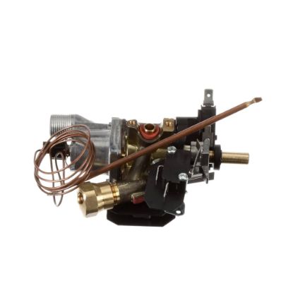 Picture of Bertazzoni Thermostat Part# 503136