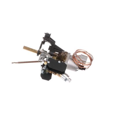 Picture of Bertazzoni Thermostat Part# 503192